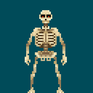 skeleton base 2.gif